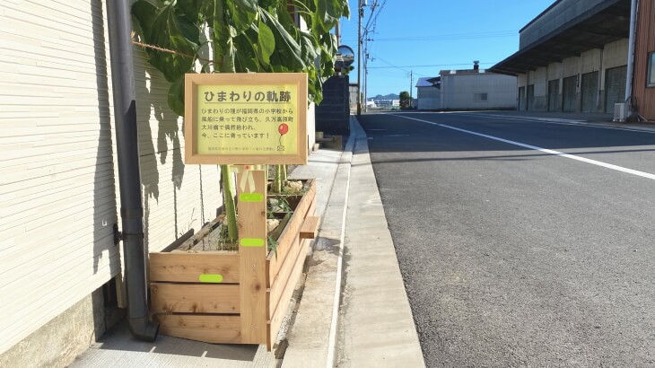 福岡県古賀市立小野小学校から届いたひまわりの軌跡を書いた看板を付けました。